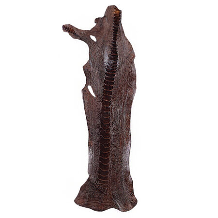 چرم ساق شتر مرغ OL002 سورت B