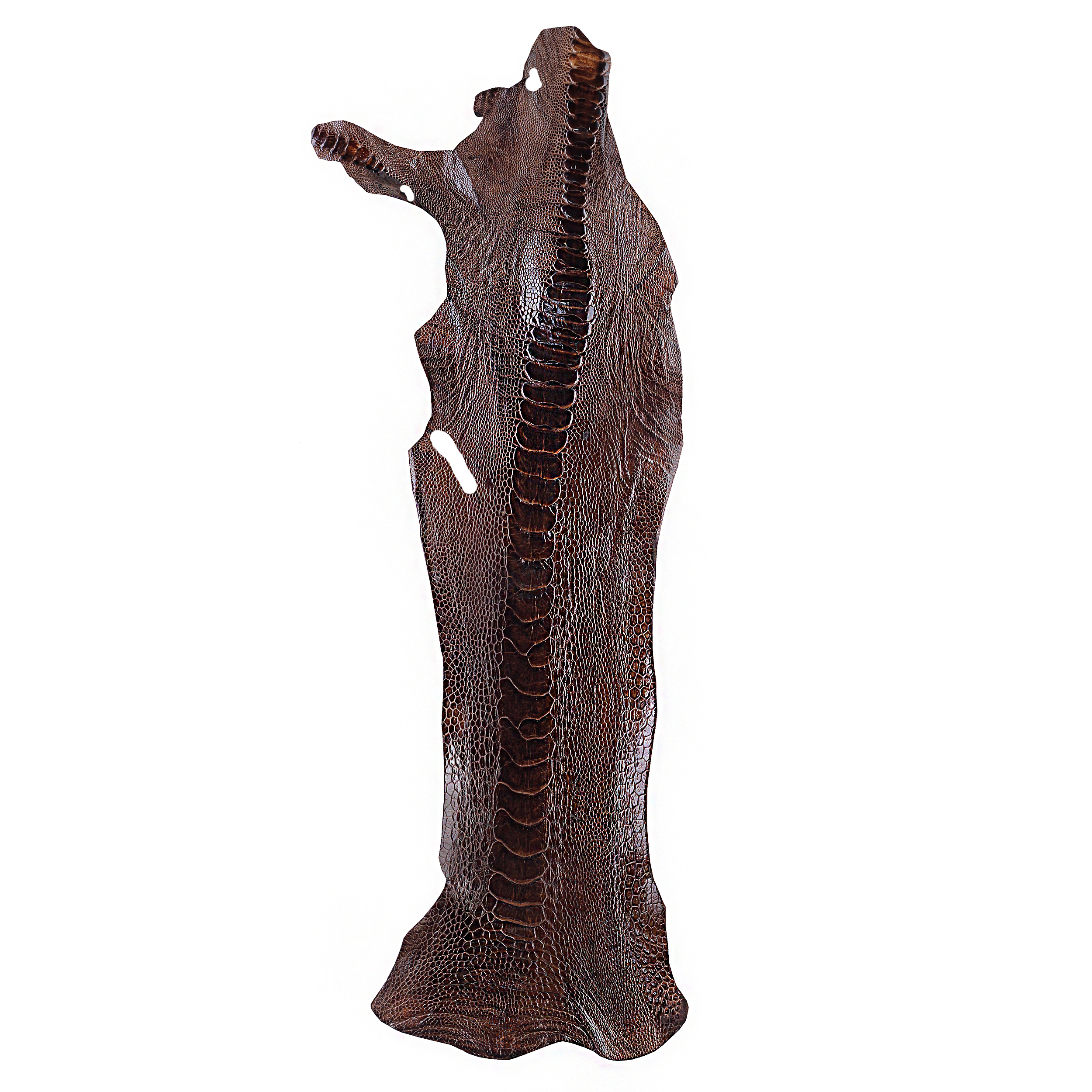 چرم ساق شتر مرغ OL003 سورت C