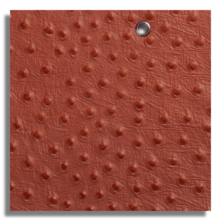 چرم شتر مرغ  OS001