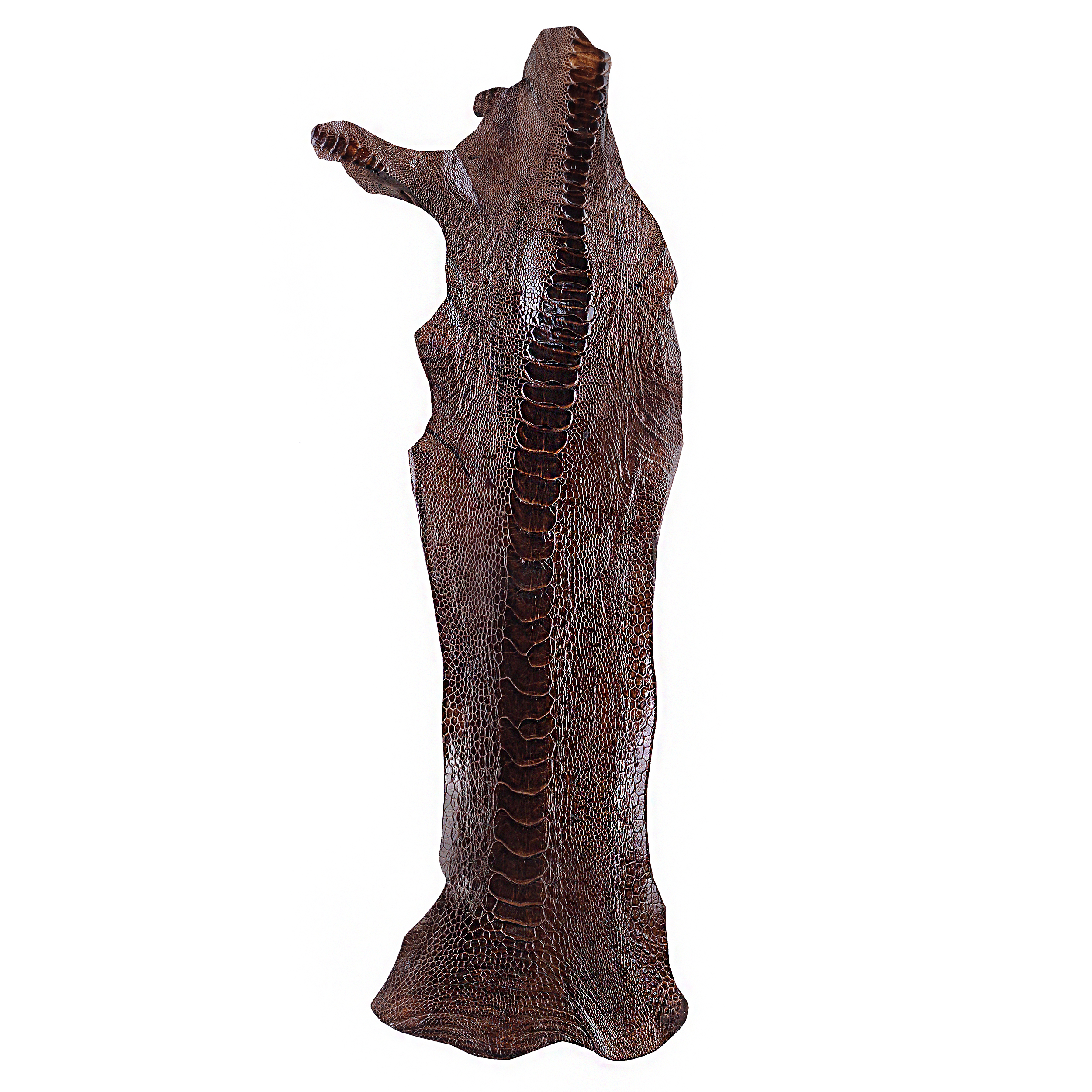 چرم ساق شتر مرغ OL001 سورت A