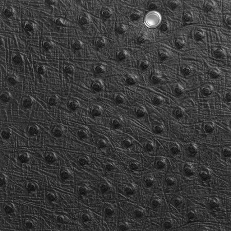 چرم شتر مرغ  OS002