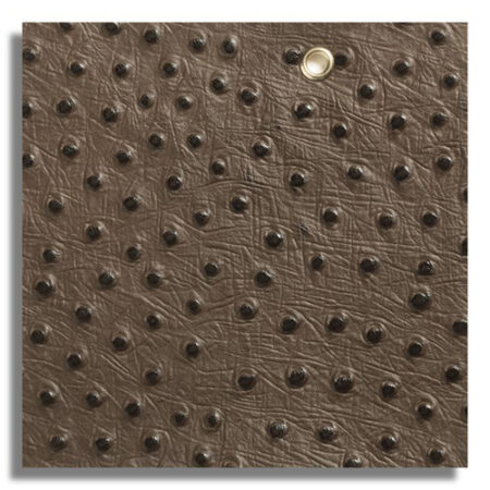 چرم شتر مرغ  OS004