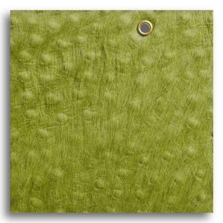 چرم شتر مرغ  OS005