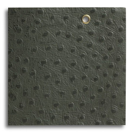 چرم شتر مرغ  OS008