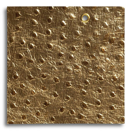 چرم شتر مرغ  OS010