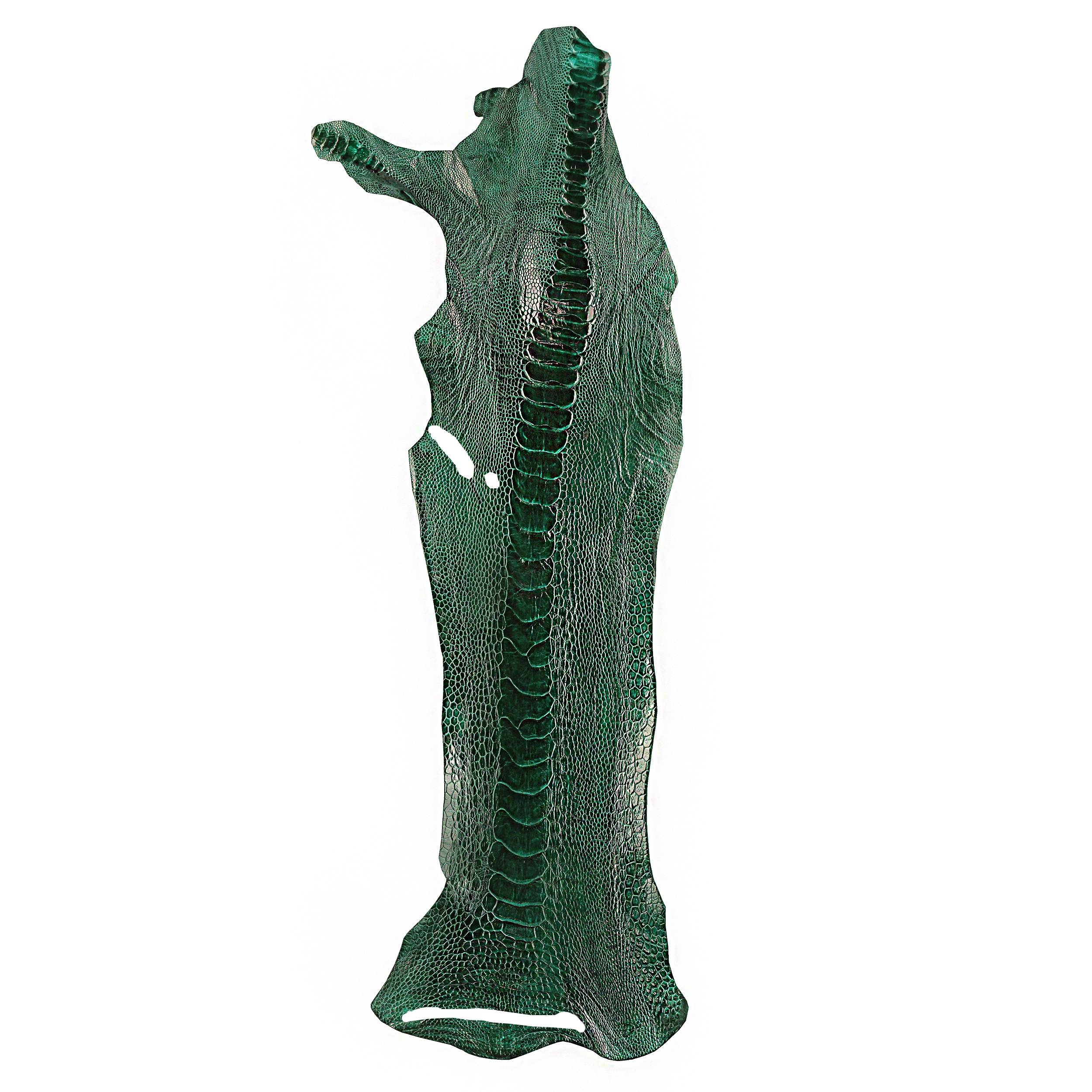 چرم ساق شتر مرغ OL033 سورت C