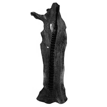 چرم ساق شتر مرغ OL011 سورت B