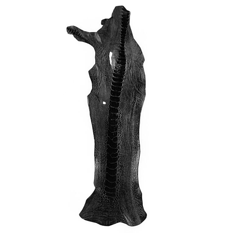 چرم ساق شتر مرغ OL011 سورت B