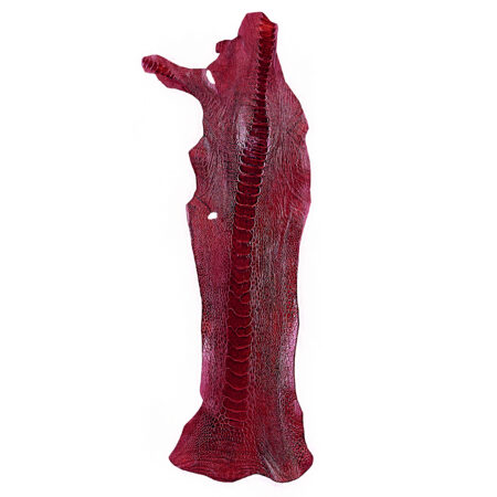 چرم ساق شتر مرغ OL014 سورت B