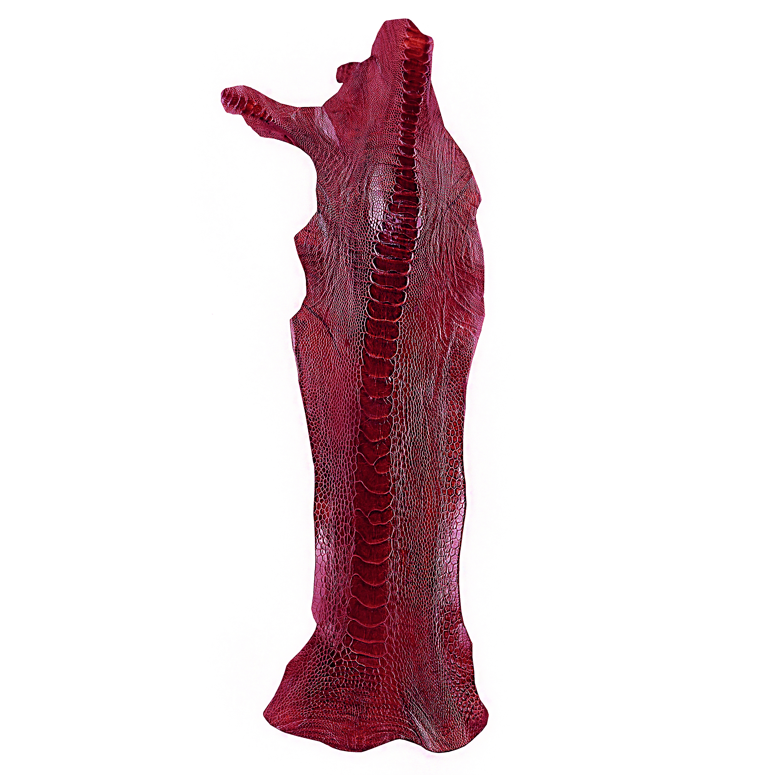 چرم ساق شتر مرغ OL013 سورت A