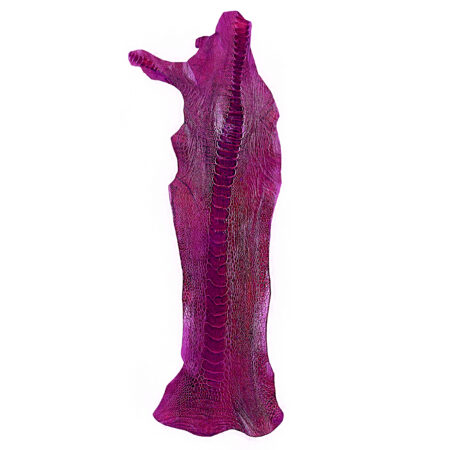 چرم ساق شتر مرغ OL016 سورت A