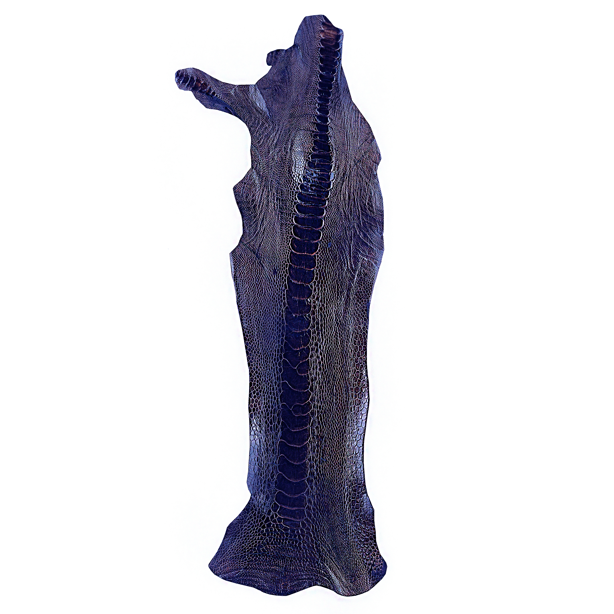 چرم ساق شتر مرغ OL025 سورت A