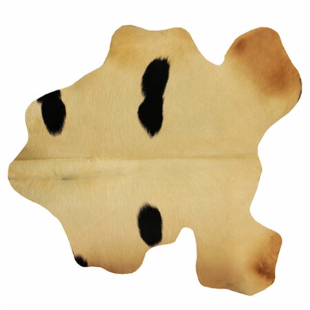 پوست تزئینی P281