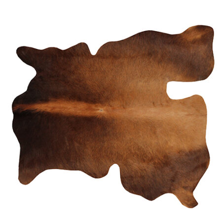 پوست تزئینی P313