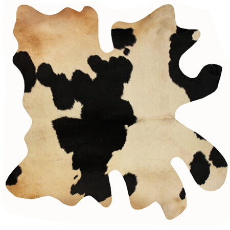 پوست تزئینی P355