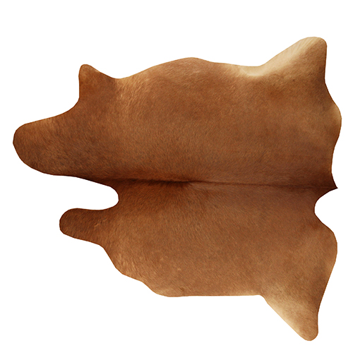 پوست تزئینی P429